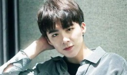 刘宇宁直播爆料最新消息视频,最新消息视频深度解析