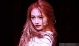 圈内爆料金晨周洁琼,揭秘娱乐圈的神秘邂逅